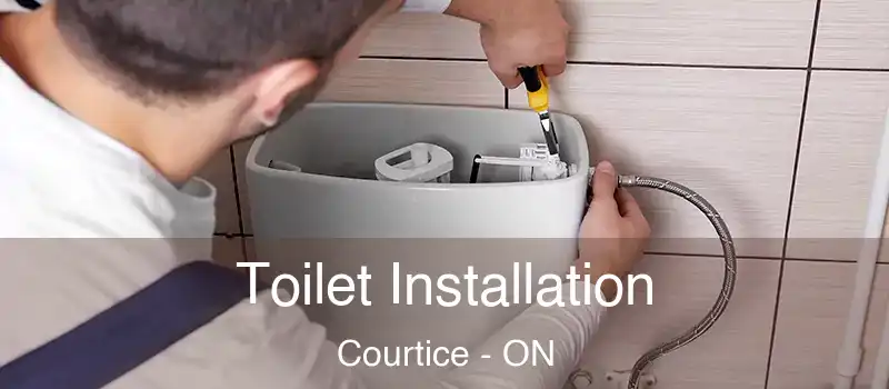 Toilet Installation Courtice - ON