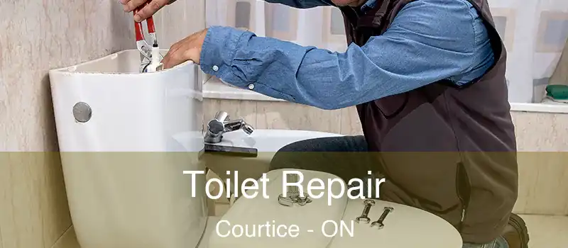 Toilet Repair Courtice - ON