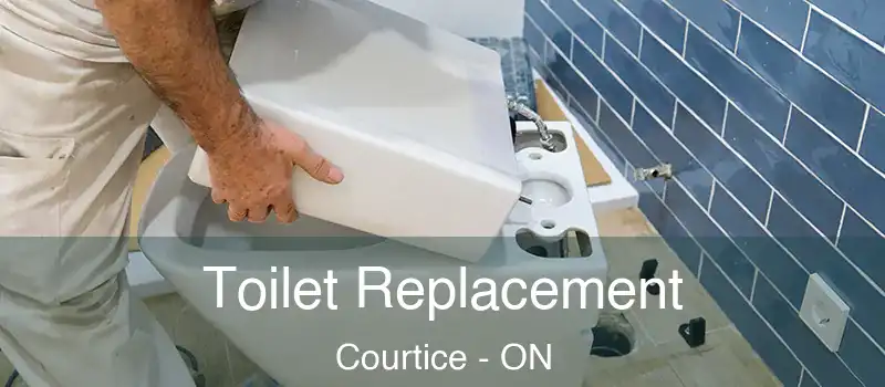 Toilet Replacement Courtice - ON