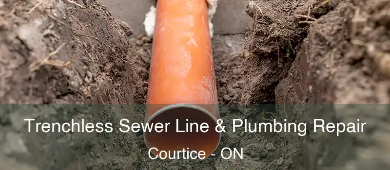 Trenchless Sewer Line & Plumbing Repair Courtice - ON