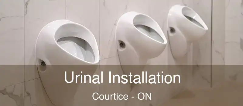 Urinal Installation Courtice - ON