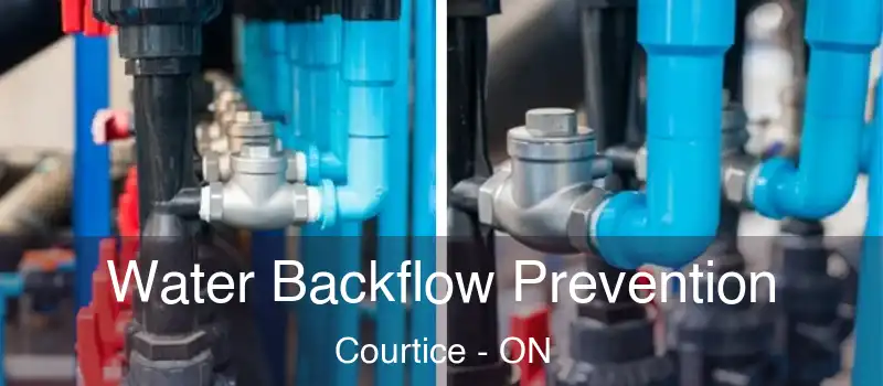  Water Backflow Prevention Courtice - ON
