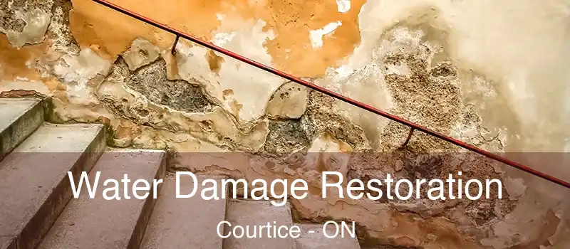 Water Damage Restoration Courtice - ON