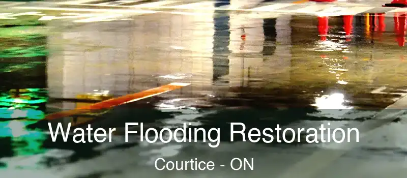  Water Flooding Restoration Courtice - ON