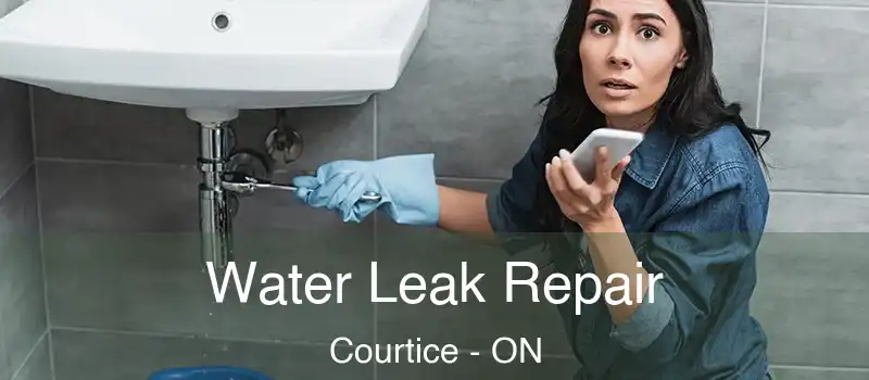 Water Leak Repair Courtice - ON