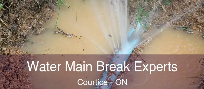 Water Main Break Experts Courtice - ON