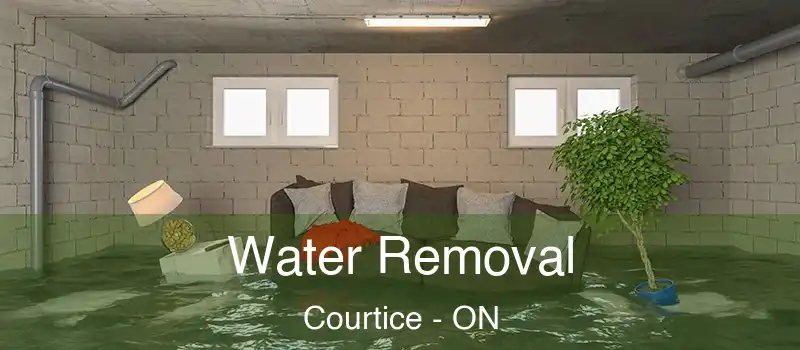 Water Removal Courtice - ON