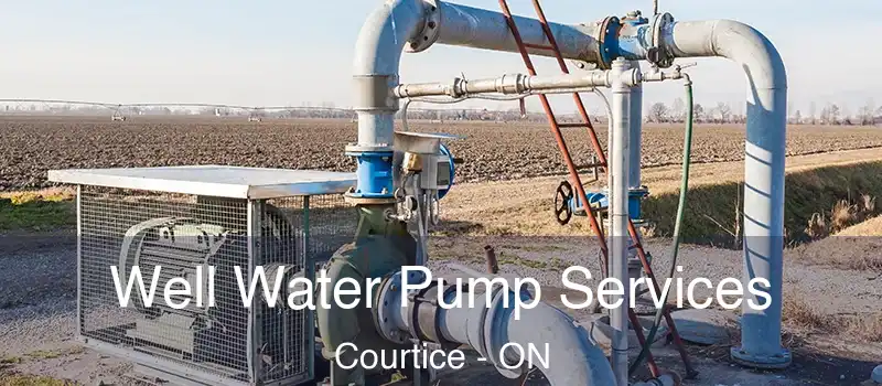  Well Water Pump Services Courtice - ON